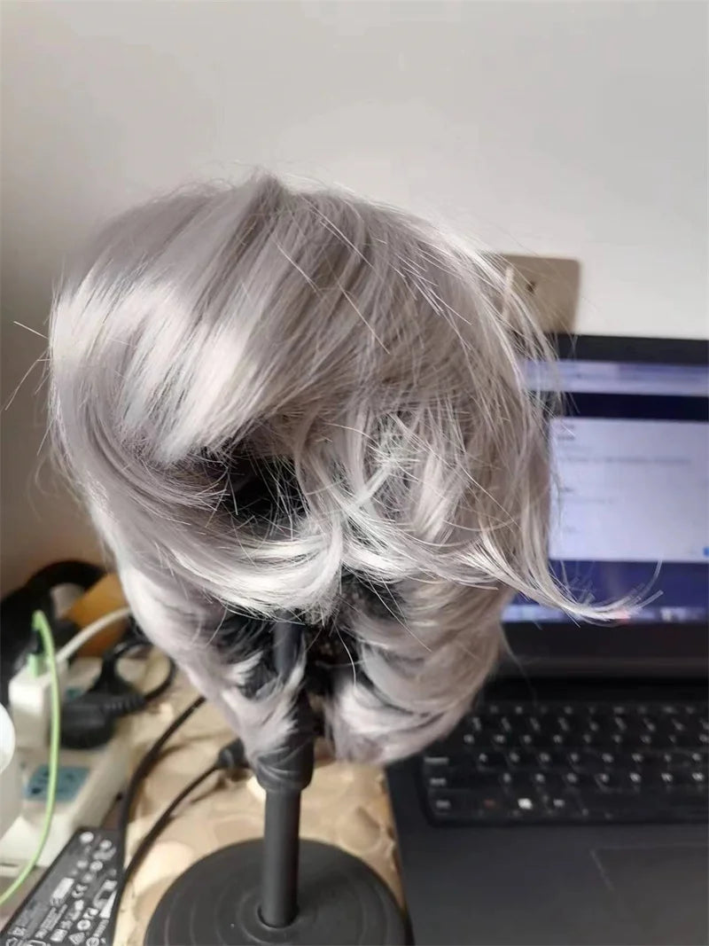 Silver Fox Vibes Wig